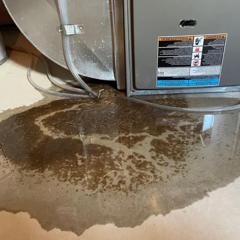 Pipe Burst and Leak Restoration in Walden, TN