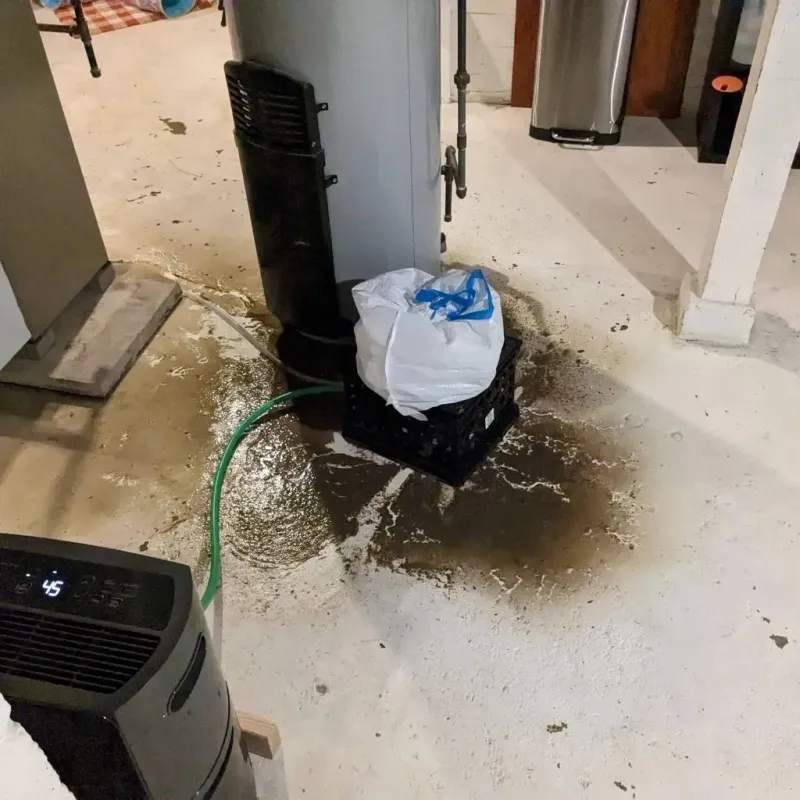Sewage Backup Cleanup Service in Walden, TN